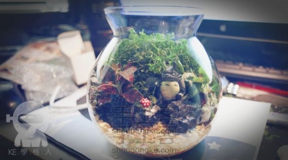 本来养花结果手痒做了它《超声波控制微景观灯光》 第4张