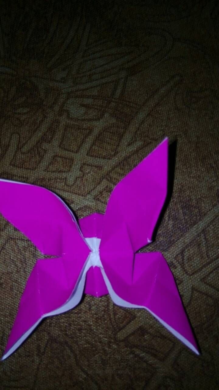 漂亮的立体燕尾蝶 第19步