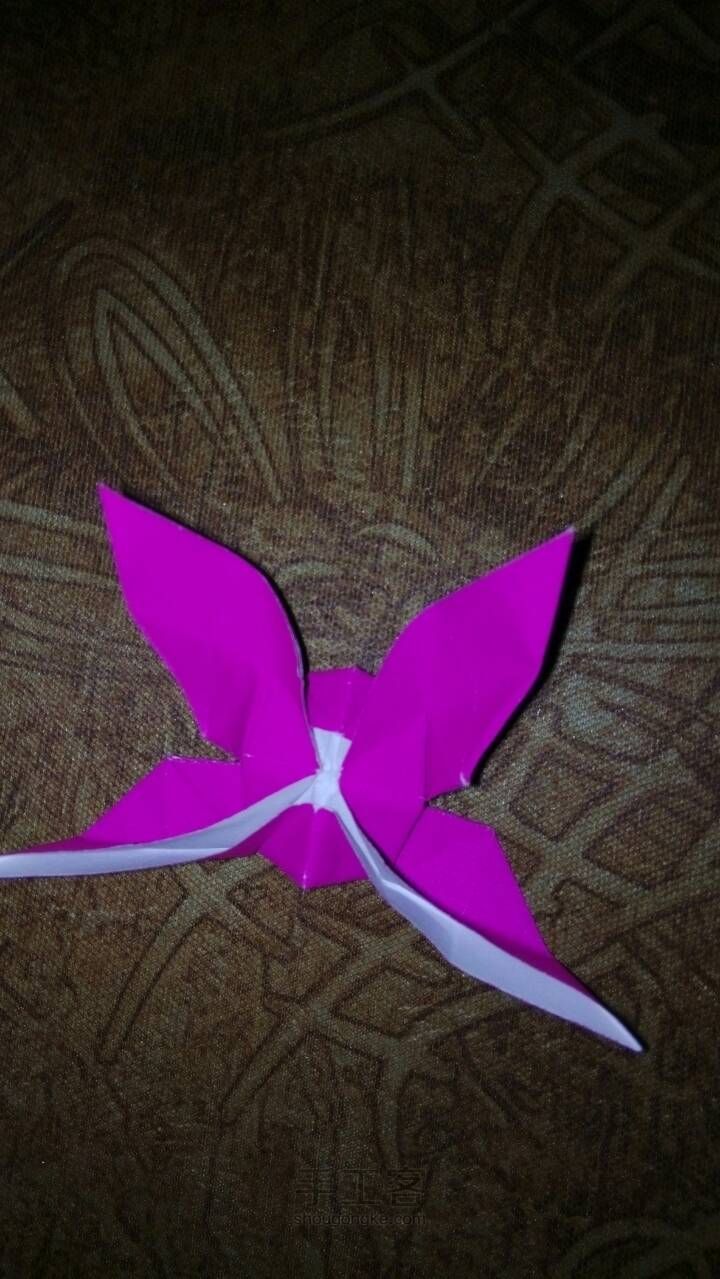 漂亮的立体燕尾蝶 第18步