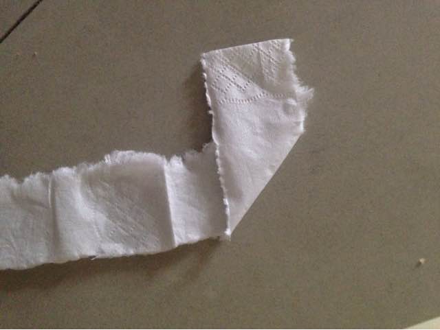 用手帕纸折玫瑰随手给朋友一个惊喜 第4步