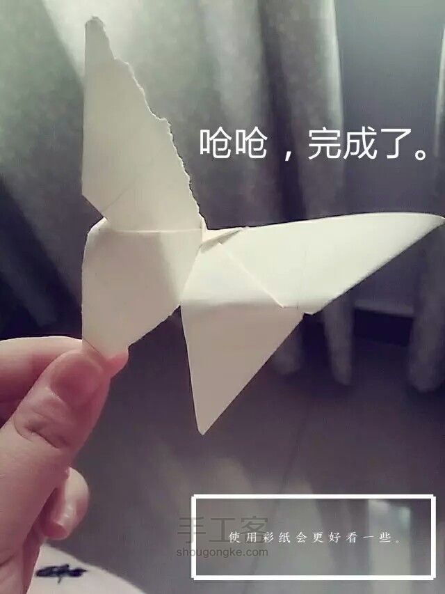 简易蝴蝶   保证一看就会！ 第7步