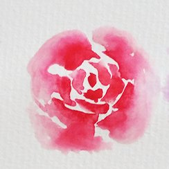 水彩玫瑰插画——那些独立的小清新 第9步
