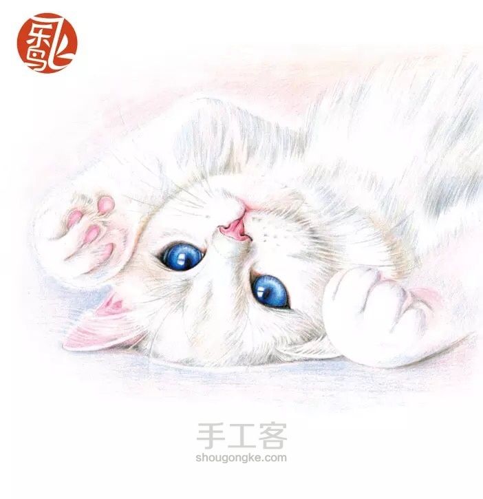 【手绘】小白猫咪 第1步