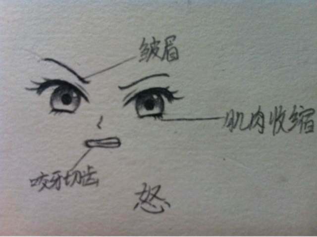 第六期《面部解析》 第12步