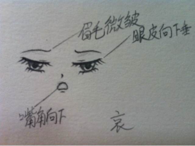 第六期《面部解析》 第13步