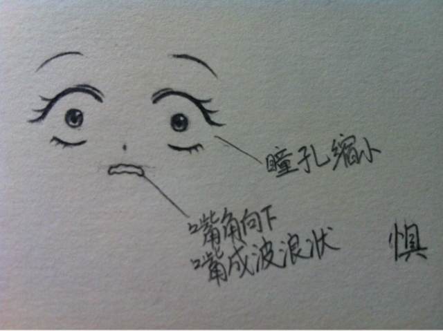 第六期《面部解析》 第14步