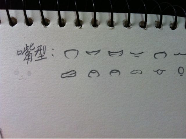 第六期《面部解析》 第15步