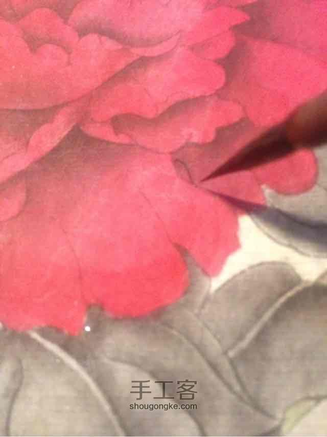 工笔紫红牡丹教程【三】 第9步
