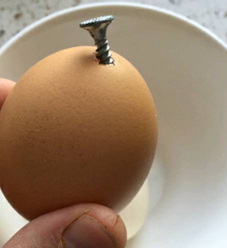 鸡蛋壳里孵出鸡蛋糕【转】 第1步