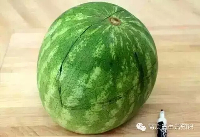 【转载】西瓜🍉的〖崛起〗 第5步