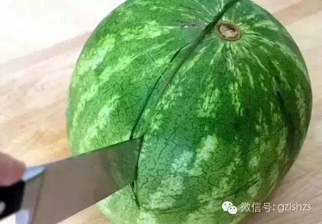 【转载】西瓜🍉的〖崛起〗 第6步