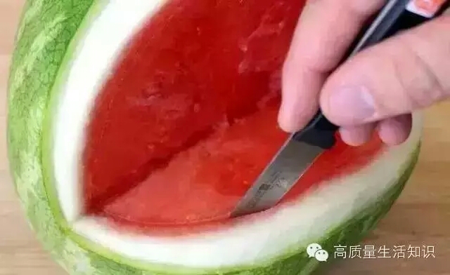 【转载】西瓜🍉的〖崛起〗 第11步