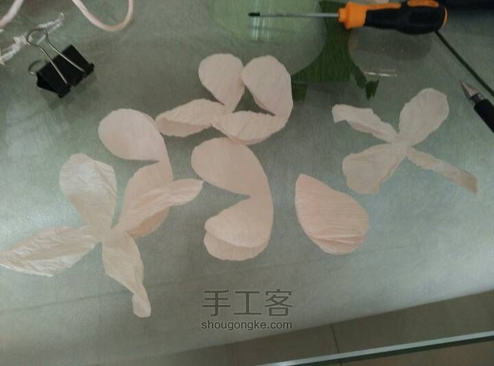 纸花之芍药 第13步