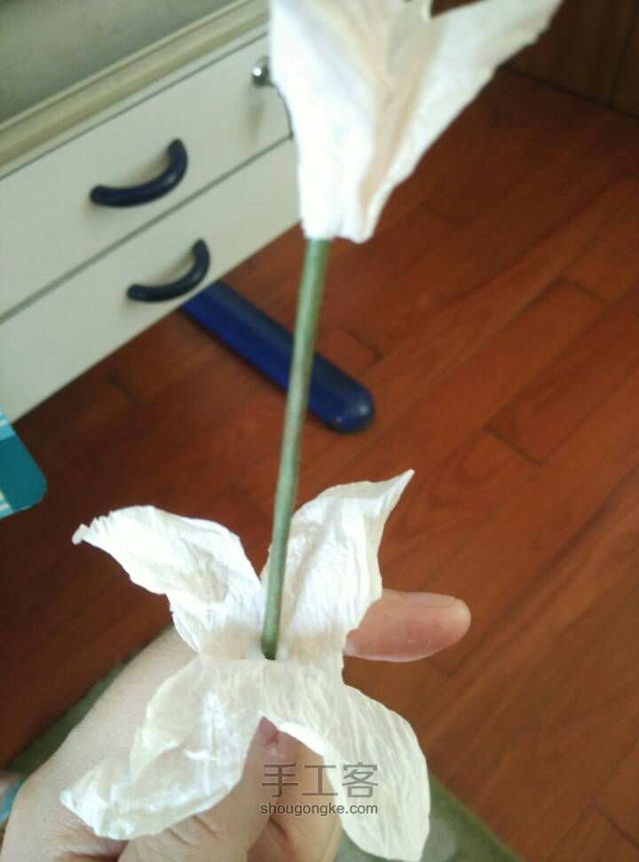 纸花之芍药 第16步