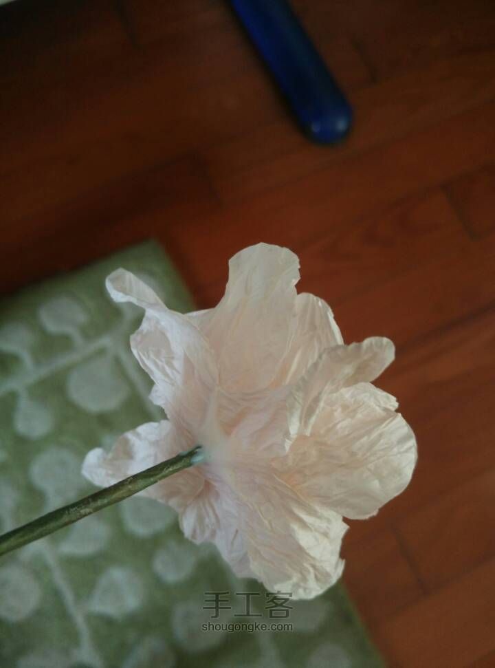 纸花之芍药 第17步