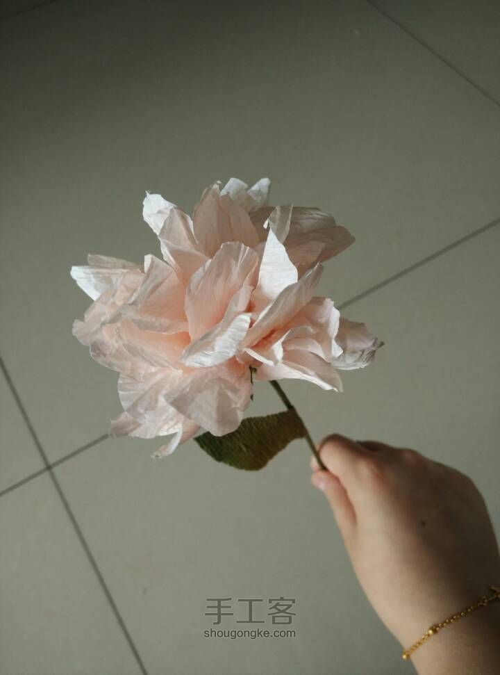 纸花之芍药 第23步