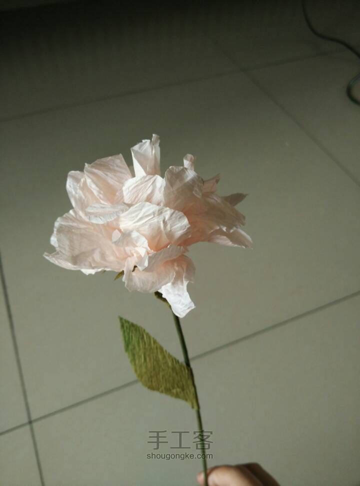 纸花之芍药 第22步
