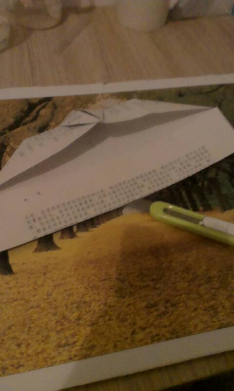 纸滑翔机 第14步