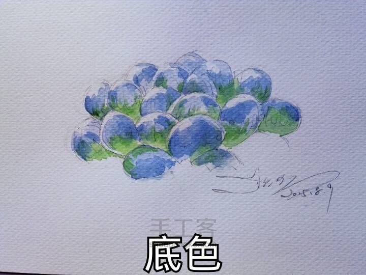 绿色姬玉露 第1步