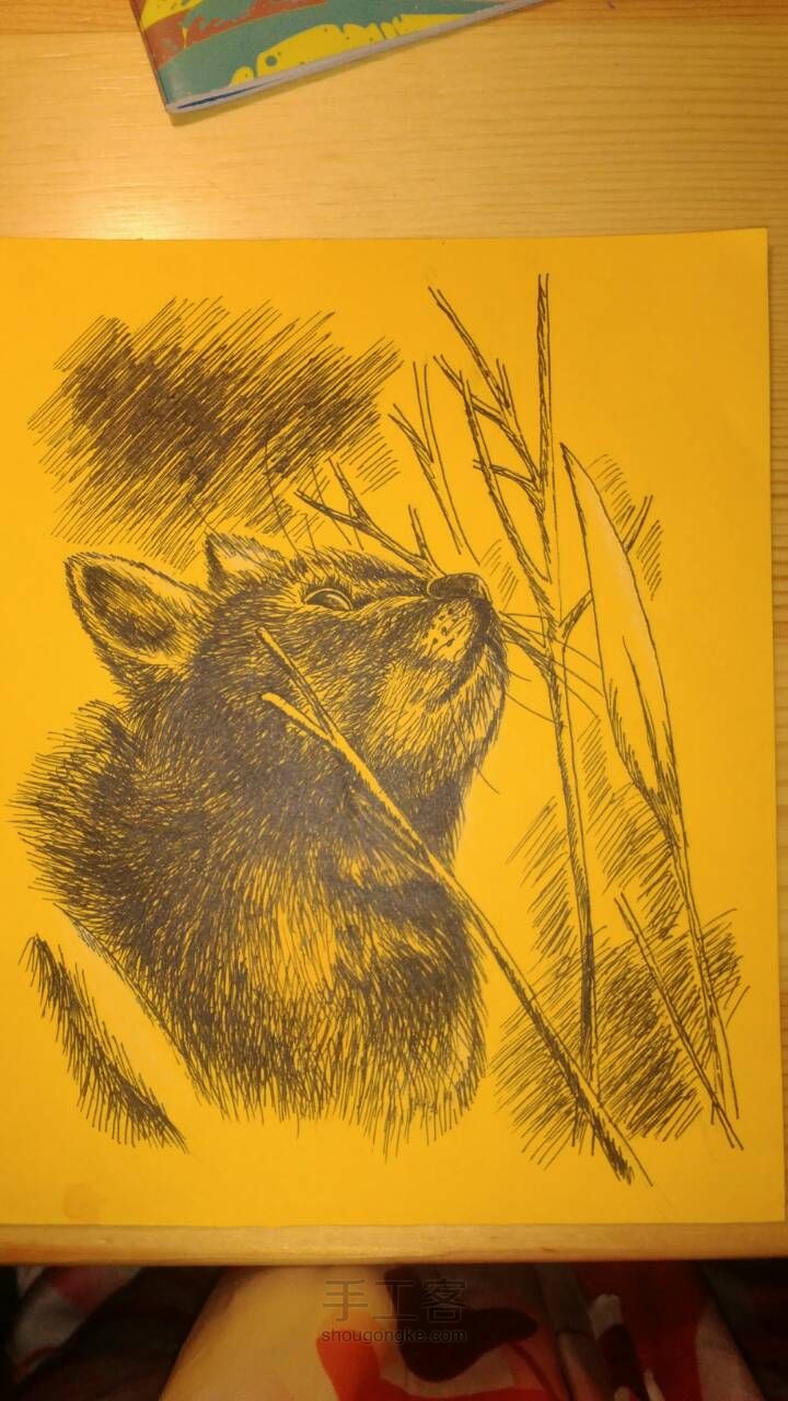 钢笔画•猫 第10步