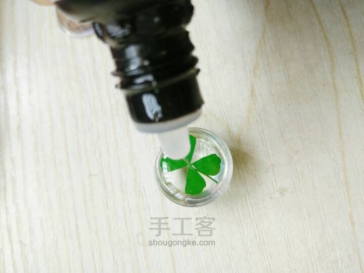 四叶草干花项链 第3步