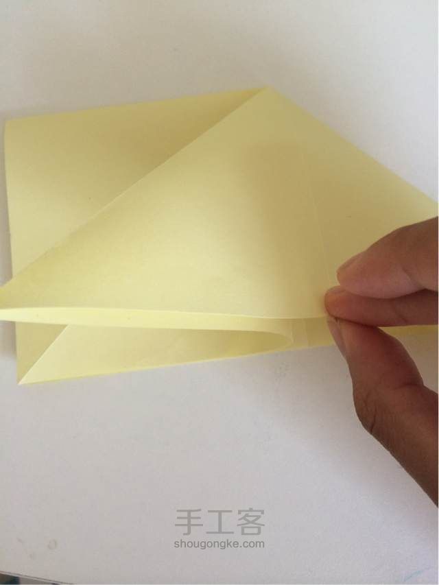 蝴蝶折纸 第10步