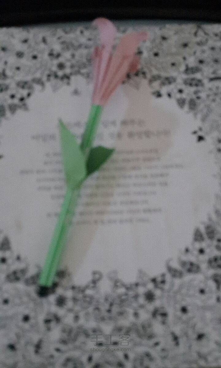 百合花 第14步