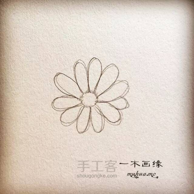 【一木画缘】花卉小课堂之大理菊（第3期） 第2步