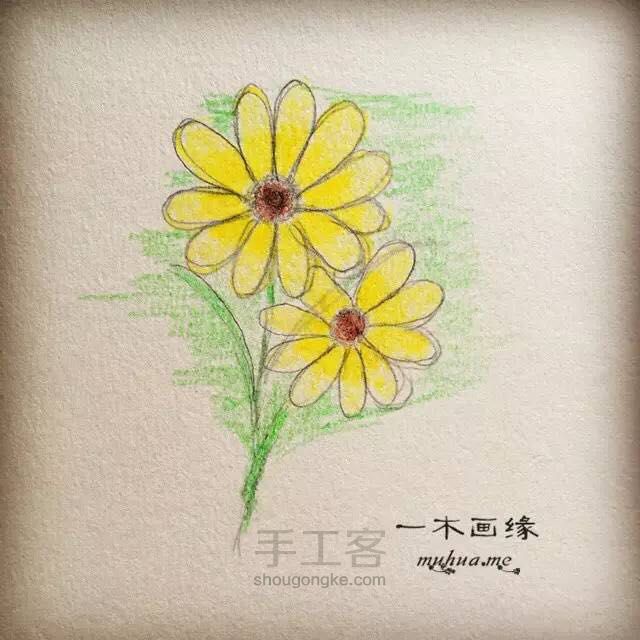 【一木画缘】花卉小课堂之大理菊（第3期） 第6步
