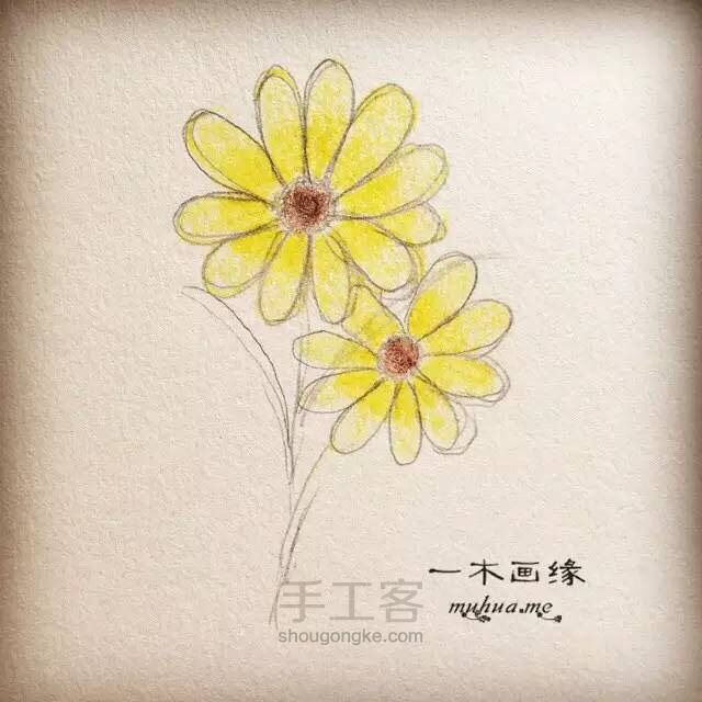 【一木画缘】花卉小课堂之大理菊（第3期） 第5步