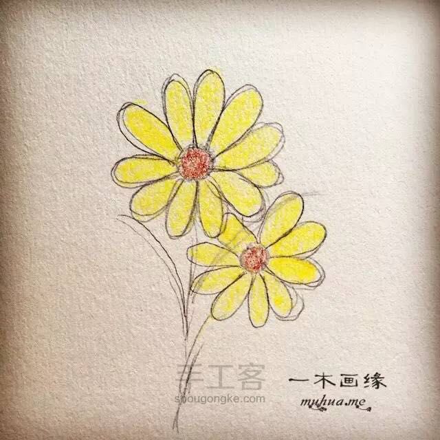 【一木画缘】花卉小课堂之大理菊（第3期） 第4步