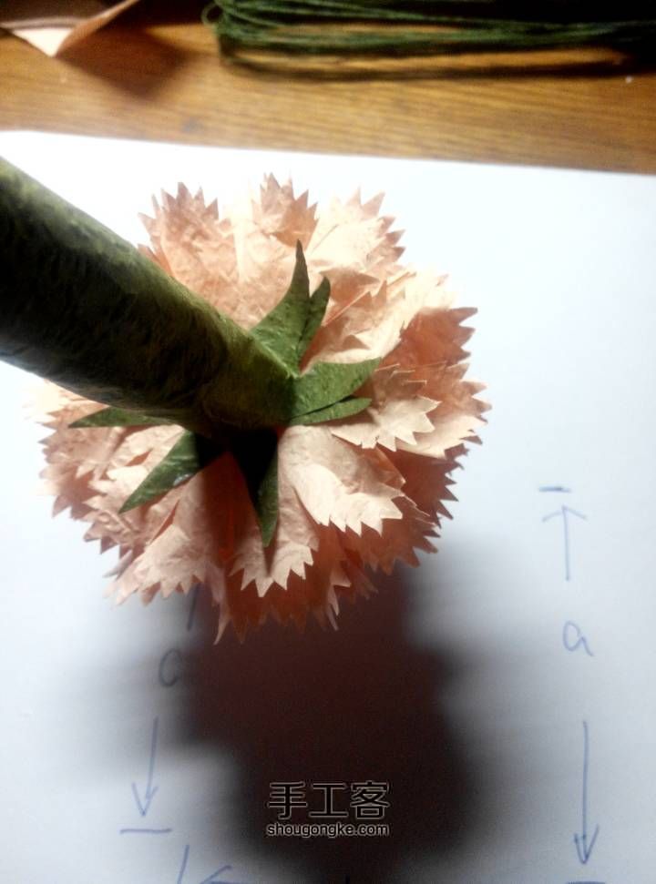 纸艺康乃馨 第24步
