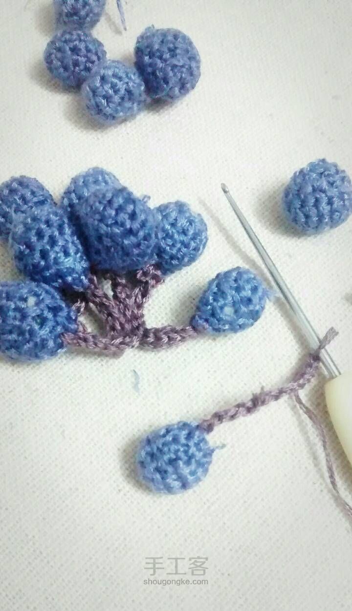 蓝莓果果～～娜家的 第5步