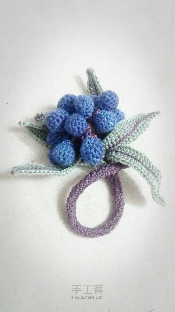 蓝莓果果～～娜家的 第7步