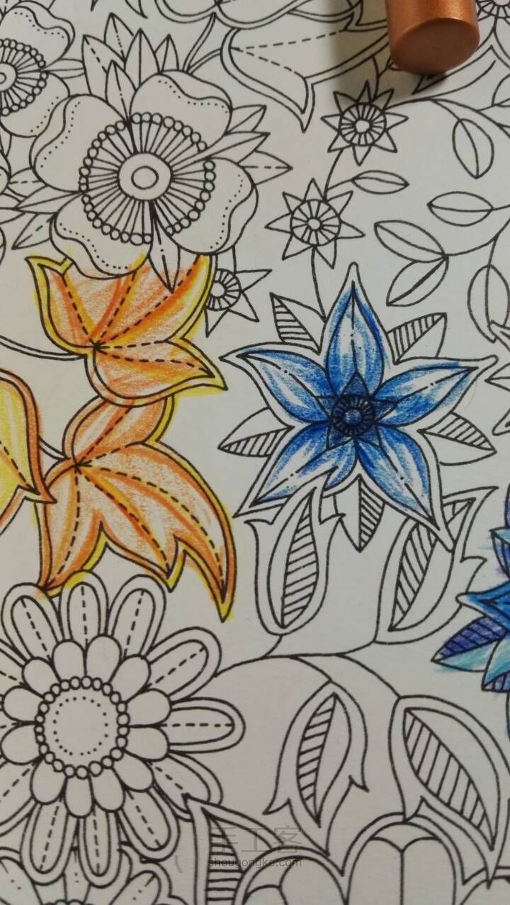 《秘密花园》彩铅上色教程3 蓝色花 第4步