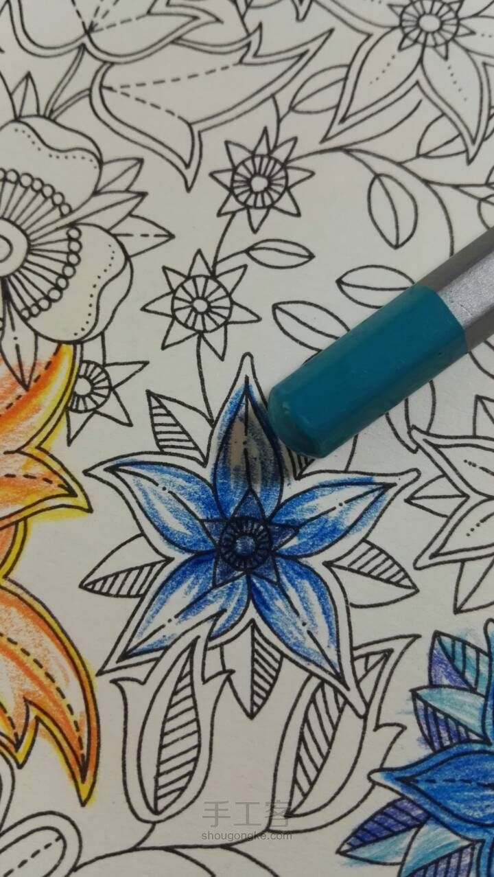《秘密花园》彩铅上色教程3 蓝色花 第5步