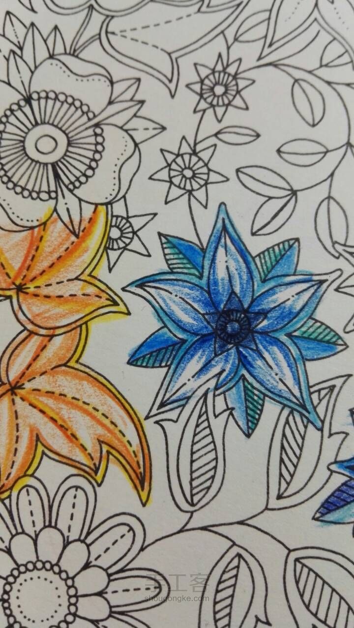 《秘密花园》彩铅上色教程3 蓝色花 第10步