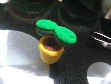 萌芽盆栽