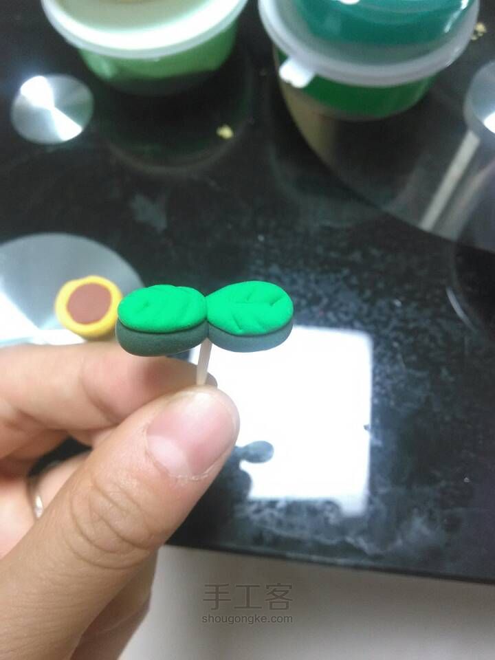 盆栽 第10步