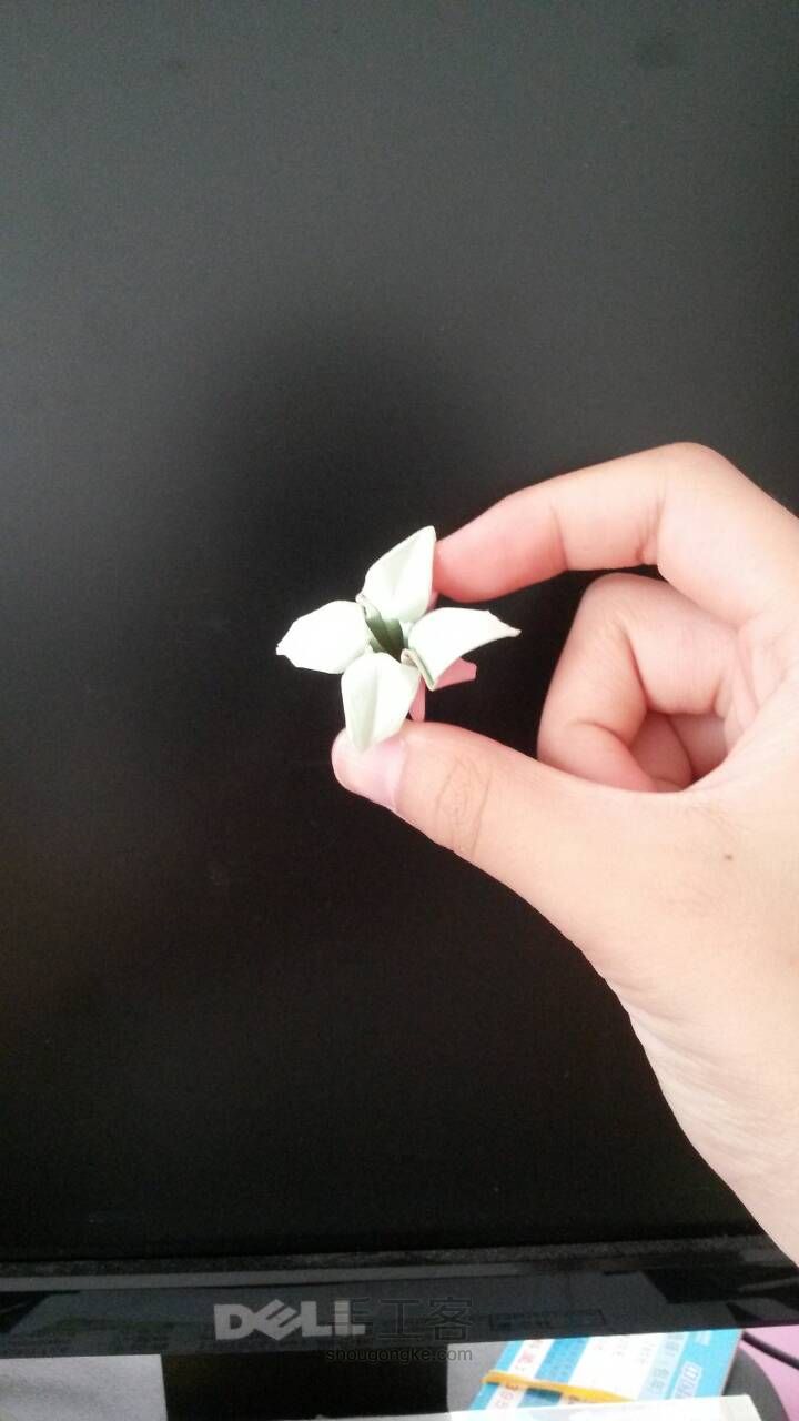 超简单的草莓教程🍓🍓🍓 第15步