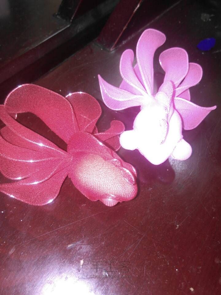 小金鱼 第4步