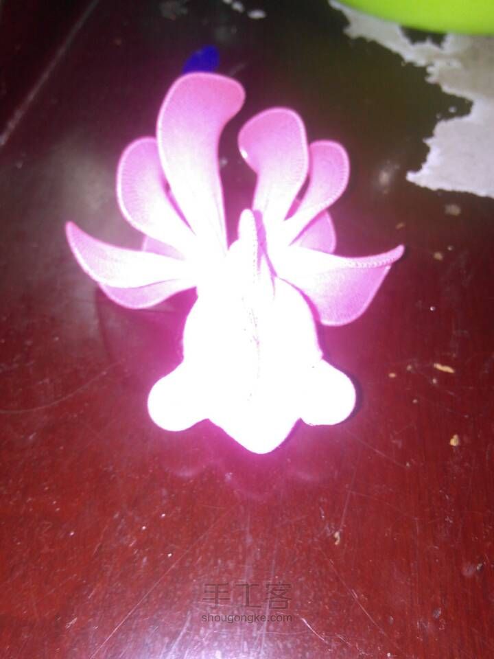小金鱼 第2步
