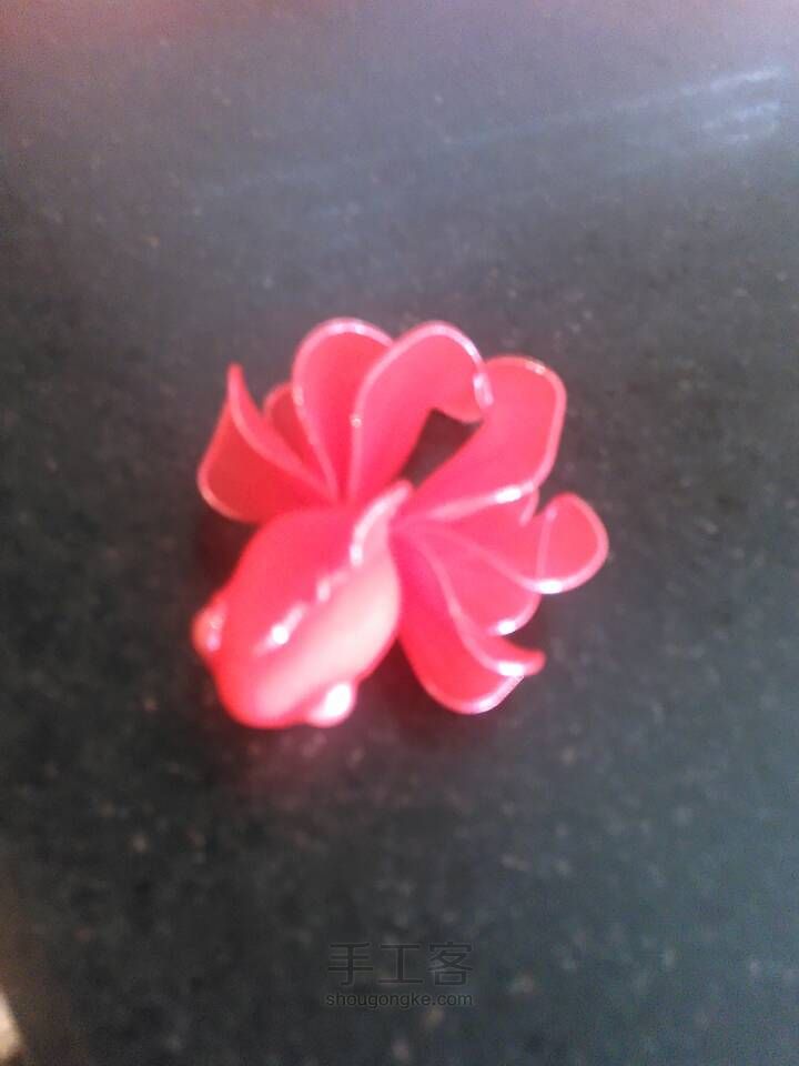 小金鱼 第3步