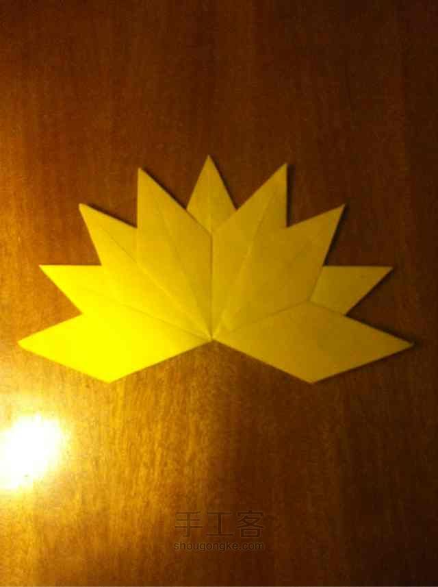 美美的枫叶🍁🍁🍁 第14步