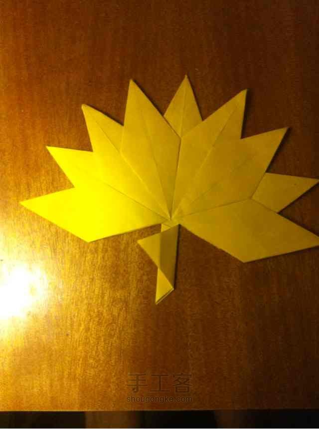 美美的枫叶🍁🍁🍁 第18步