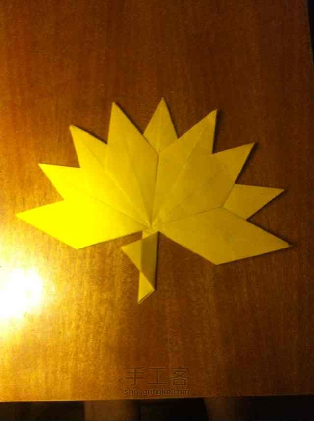 美美的枫叶🍁🍁🍁 第19步