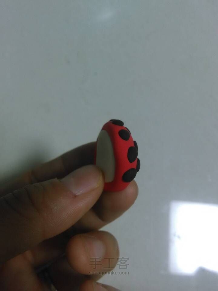 小懒熊 第10步