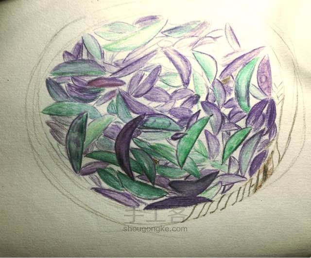 紫霞仙子和绿野仙踪 第2步