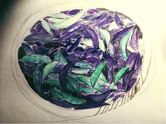 紫霞仙子和绿野仙踪 第3步