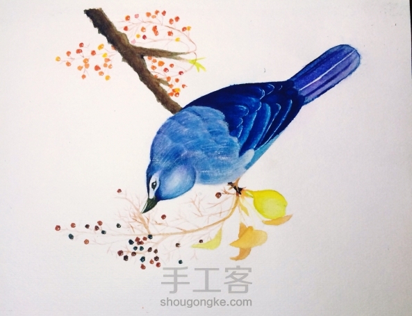 用仅有的几种颜料画了一下，教程很清楚，还是画出来了